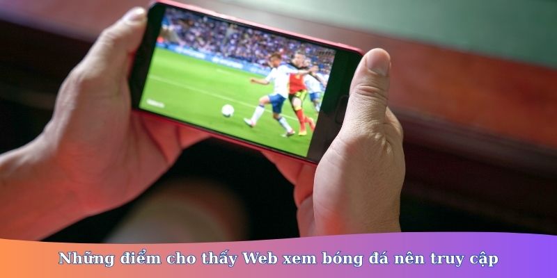 Web xem bóng đá